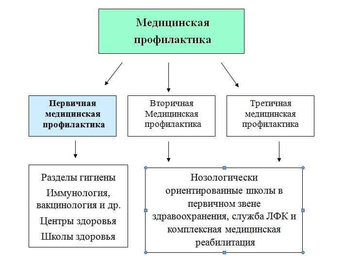 Профилактические медицинские мероприятия включают