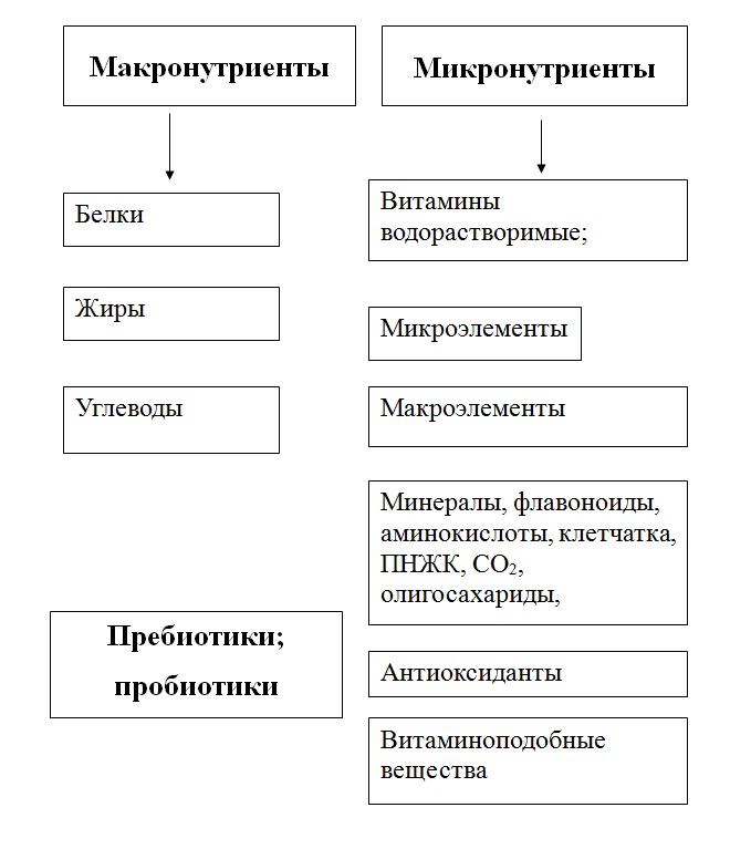 Какие жиры являются критически значимыми. Микронутриенты классификация. Макронутриенты и микронутриенты это. К микронутриентам относятся. Микронутриенты и их источники.